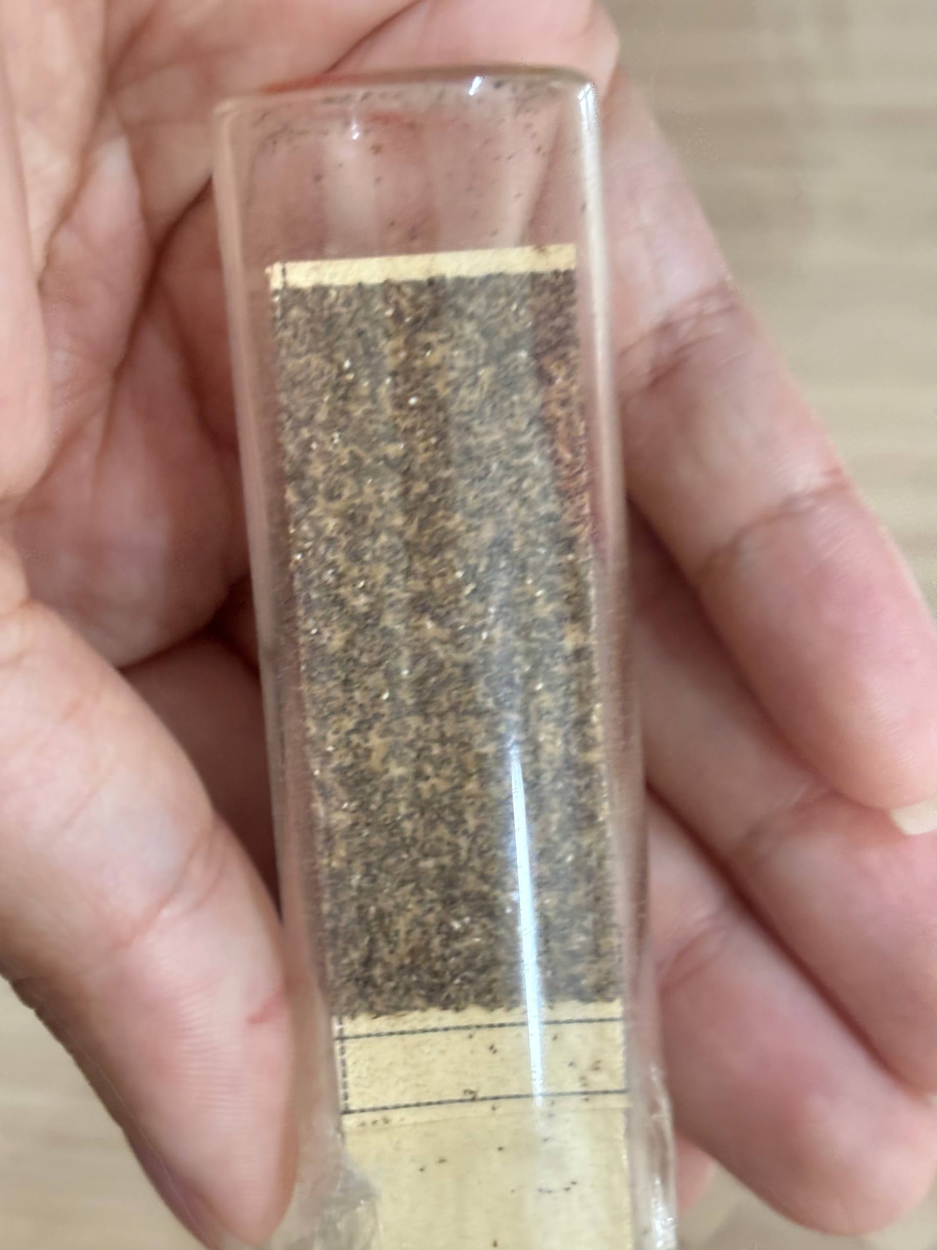 Frasco com amostras de insetos/ovos
