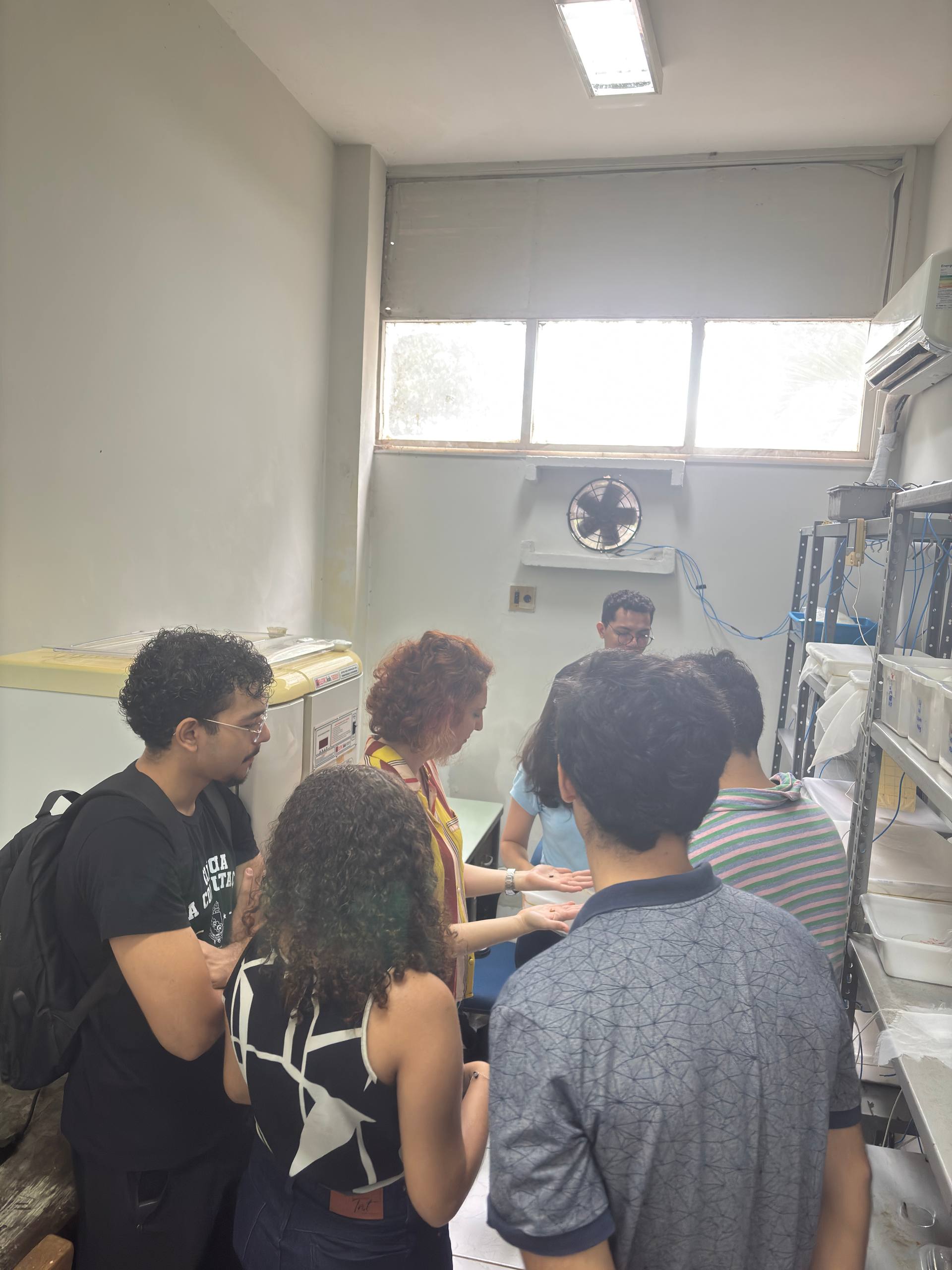 Equipe analisando amostras ao lado da estufa