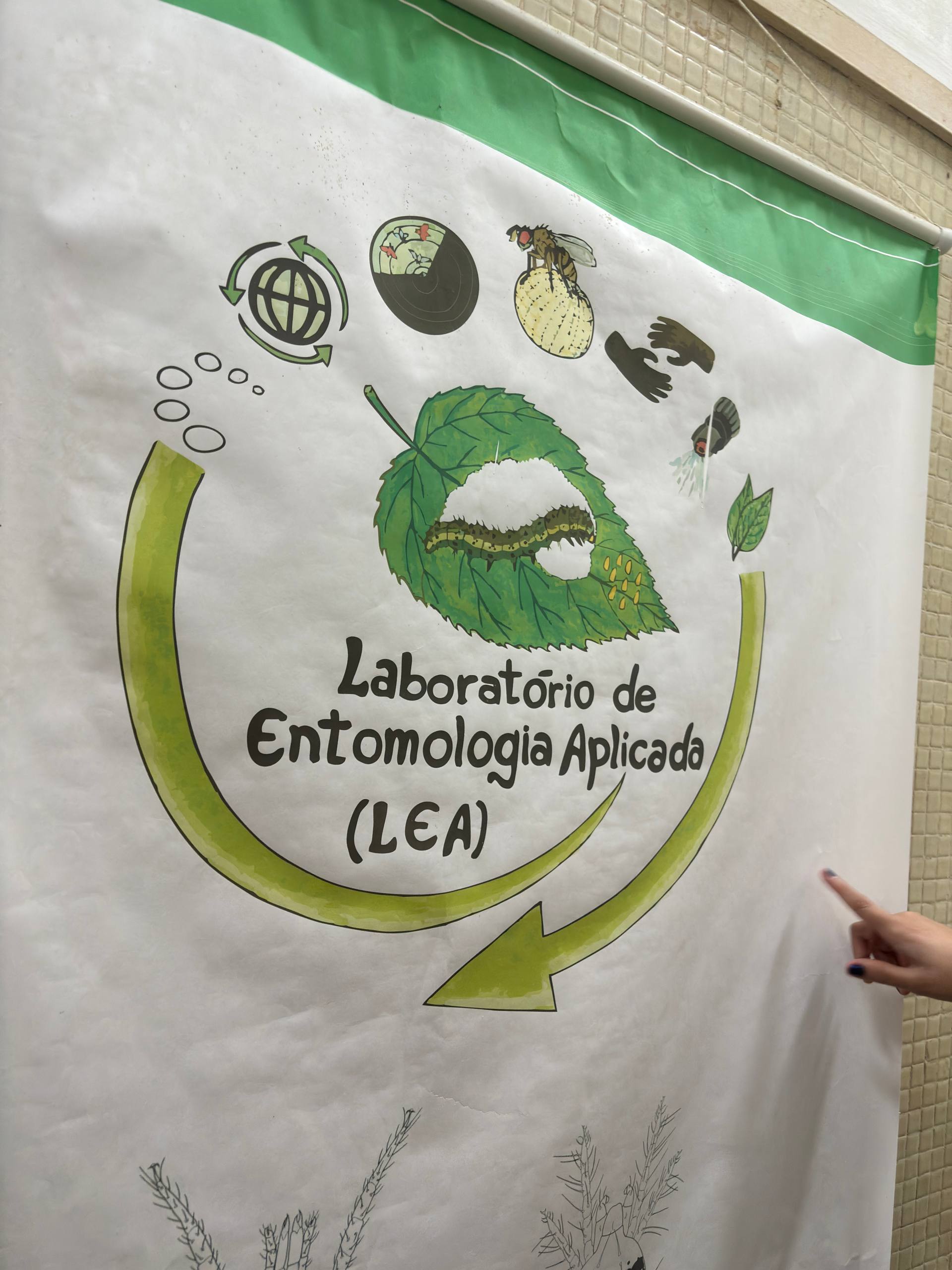 Banner do Laboratório de Entomologia Aplicada
